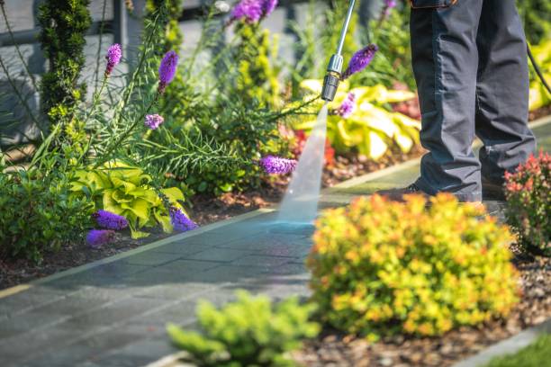 Reliable Fairlea, WV Pressure Washing Solutions