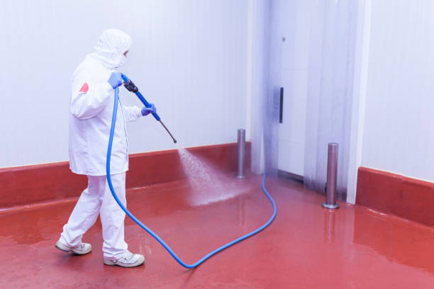 Spring Cleaning in Fairlea, WV